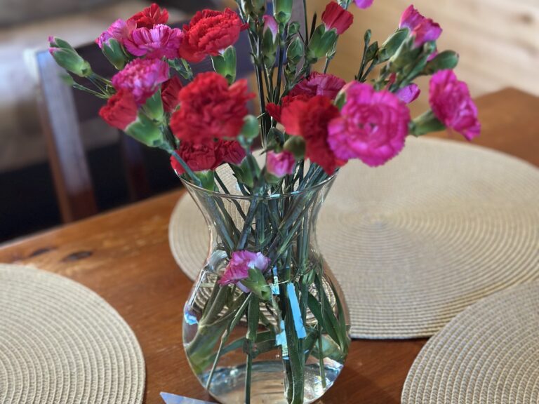 MARLIN Domki Letniskowe w Rewalu
